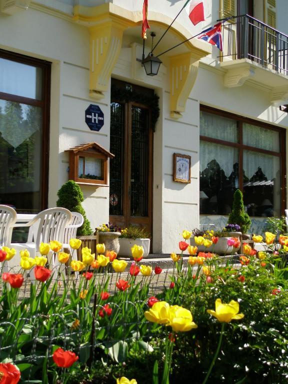 Hotel Des Alpes Brides-les-Bains Exterior foto